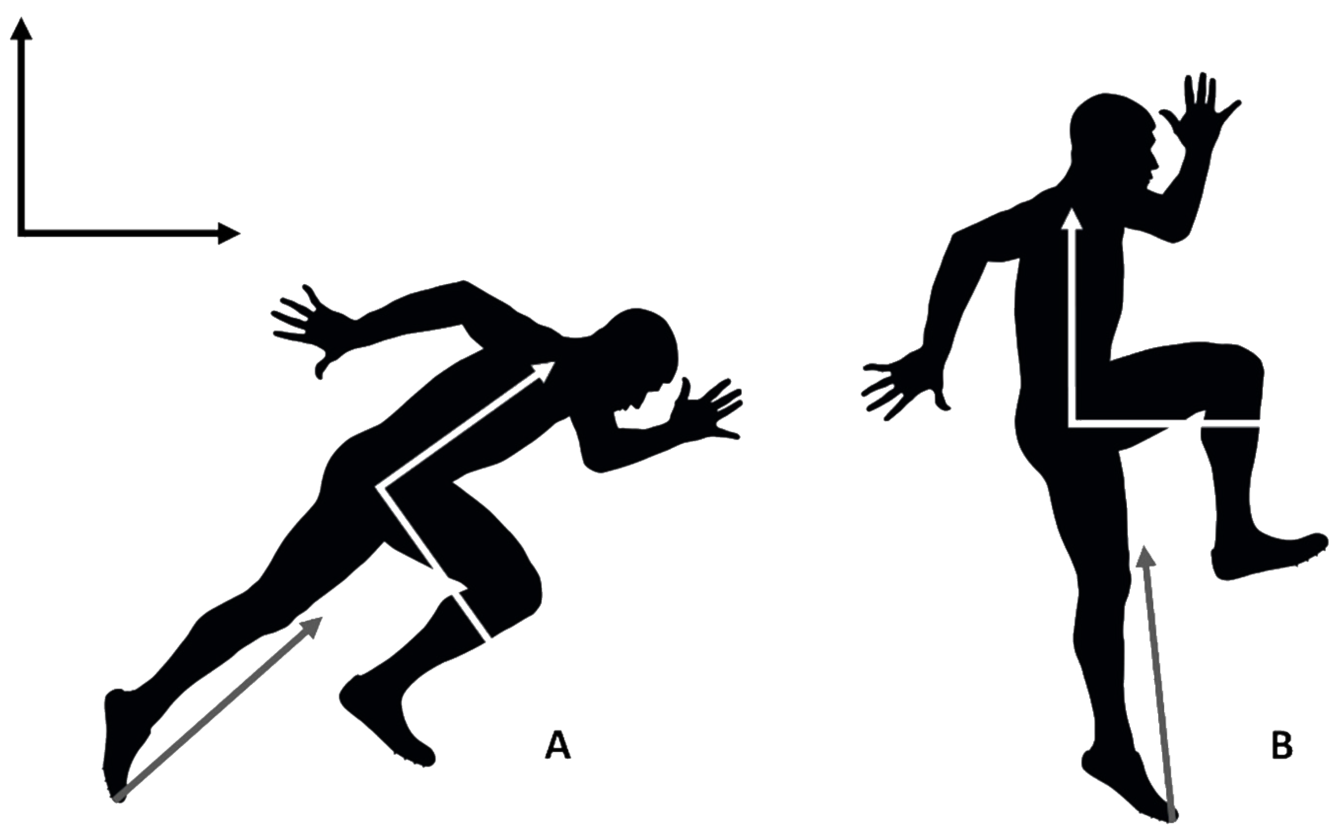 Vertical Jump Testing